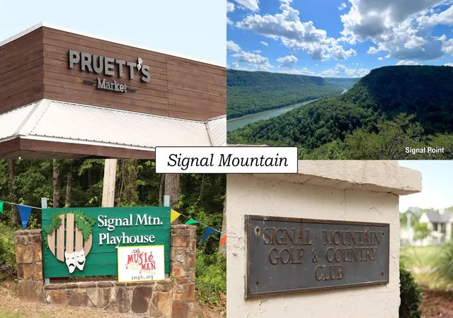 20th image of 41 Quill Haven Dr, Signal Mountain, TN 37377 | MLS# 3230152
