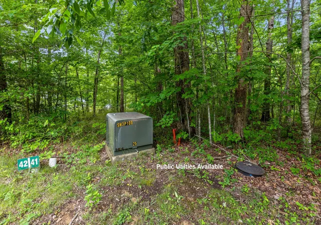 Homes for sale in Signal Mountain, TN | 41 Quill Haven Dr, Signal Mountain, TN 37377 | MLS# 3230152