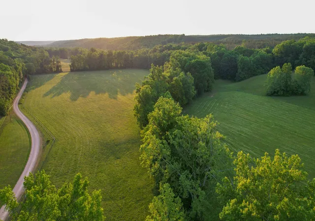 1st image of 1267 Wades Branch Rd, Centerville, TN 37033 | MLS# 3230234