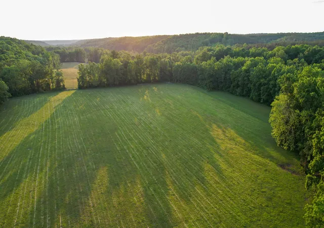 2nd image of 1267 Wades Branch Rd, Centerville, TN 37033 | MLS# 3230234