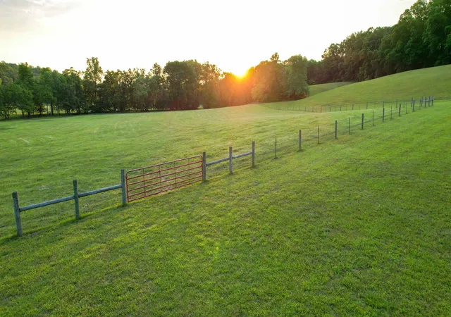 3rd image of 1267 Wades Branch Rd, Centerville, TN 37033 | MLS# 3230234