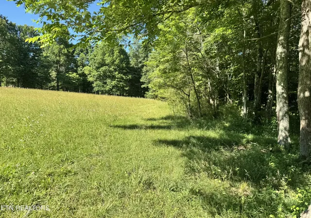 40th image of 6986 S York Hwy 6986, Clarkrange, TN 38553 | MLS# 3230329