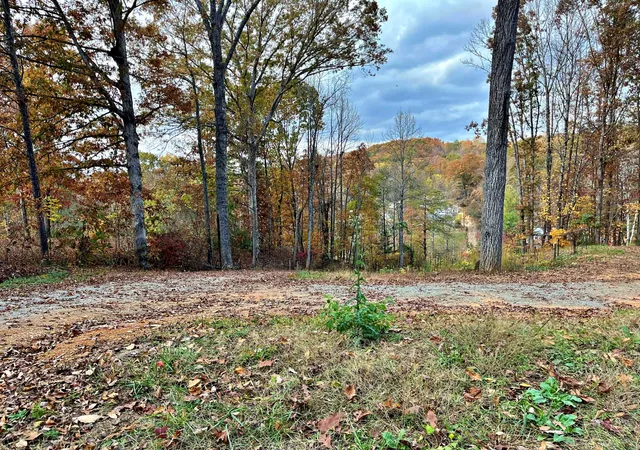 Homes for sale in Ten Mile, TN | 575 Jd Walden Road, Ten Mile, TN 37880 | MLS# 3248867