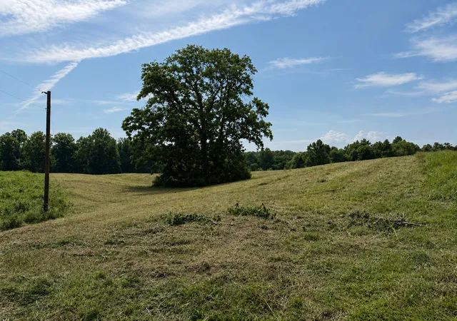 Photo 3 of Land for sale at 0 Potts Camp Rd, Smithville, TN 37166 | MLS# 3230445 | Listing updated on 2026-09-01