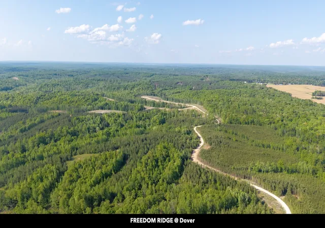 Homes for sale in Dover, TN | 0 Cox Hollow, Dover, TN 37058 | MLS# 3232368