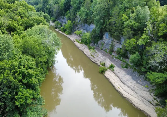 2nd image of 210 Wheel Rd, Shelbyville, TN 37160 | MLS# 3233516