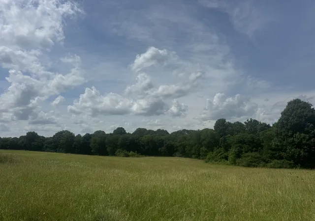 Photo 3 of Land for sale at 210 Wheel Rd, Shelbyville, TN 37160 | MLS# 3233516 | Listing updated on 2026-09-20