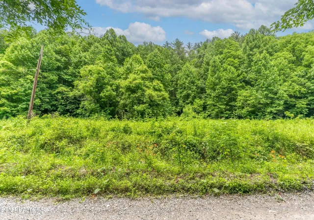 1st image of 0 Johns Creek Rd, Del Rio, TN 37727 | MLS# 3230641