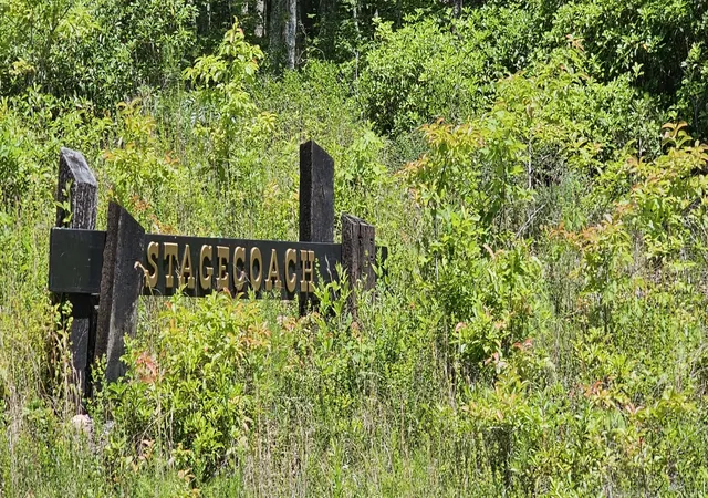 15th image of 0 Coker Creek Trail, Tellico Plains, TN 37385 | MLS# 3230887
