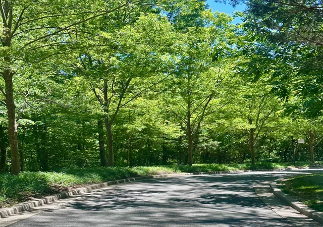 Photo 3 of Land for sale at 1011 Champion Hills Dr, Kingston Springs, TN 37082 | MLS# 3232484 | Listing updated on 2026-08-18