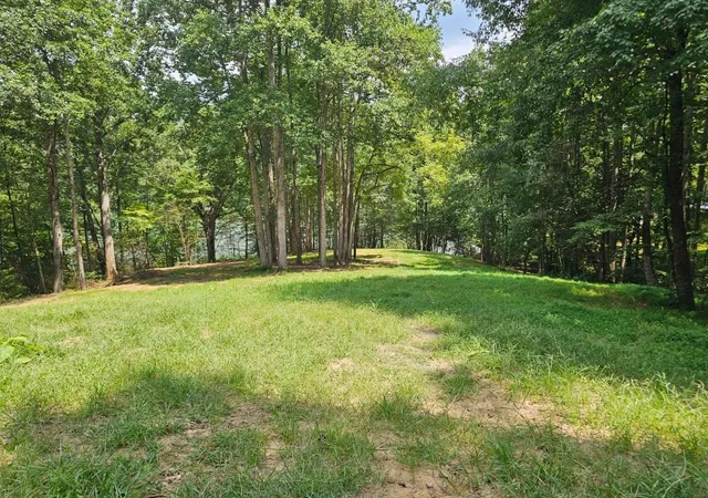 2nd image of 0 Ellis Ln, Lynchburg, TN 37352 | MLS# 3231260