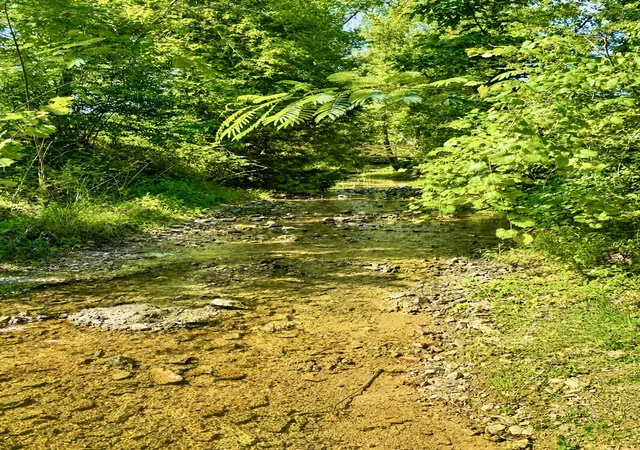 49th image of 2071 Deer Creek Rd, Linden, TN 37096 | MLS# 3243403