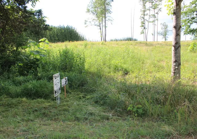 1st image of 0 Long Mountain Rd, Mc Minnville, TN 37110 | MLS# 3233173