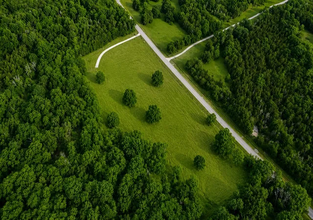 Photo 4 of Land for sale at 8625 Webb Rd, College Grove, TN 37046 | MLS# 3231138 | Listing updated on 2026-08-29