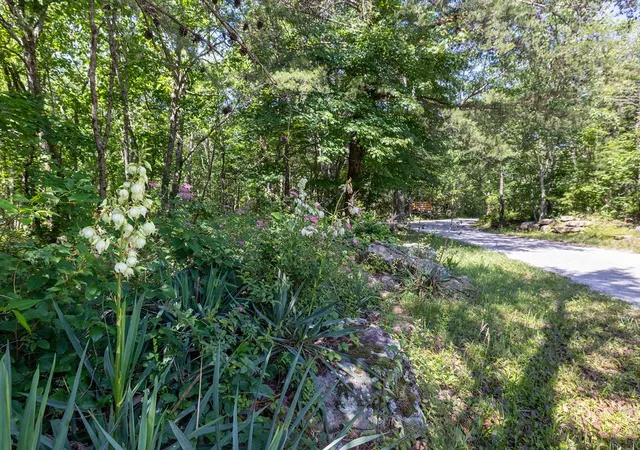 Homes for sale in Altamont, TN | 0 Valley View Dr, Altamont, TN 37301 | MLS# 3243019