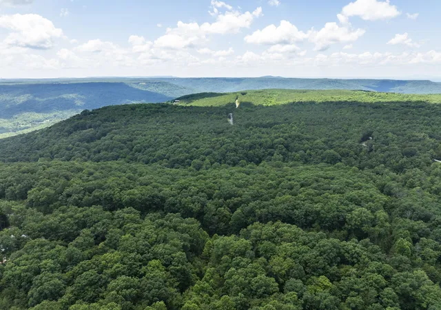 3rd image of 19 Quail Ln, Spencer, TN 38585 | MLS# 3243836