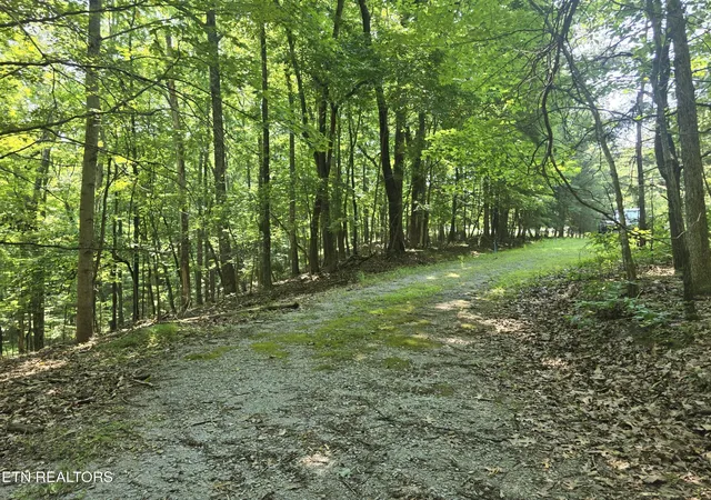 2nd image of 16 Trentwood Terrace, Crossville, TN 38558 | MLS# 3231278