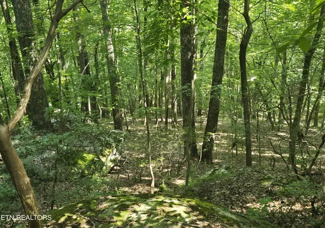 3rd image of 16 Trentwood Terrace, Crossville, TN 38558 | MLS# 3231278
