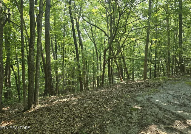 4th image of 16 Trentwood Terrace, Crossville, TN 38558 | MLS# 3231278