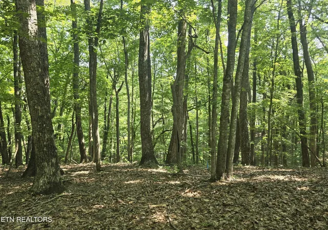 5th image of 16 Trentwood Terrace, Crossville, TN 38558 | MLS# 3231278