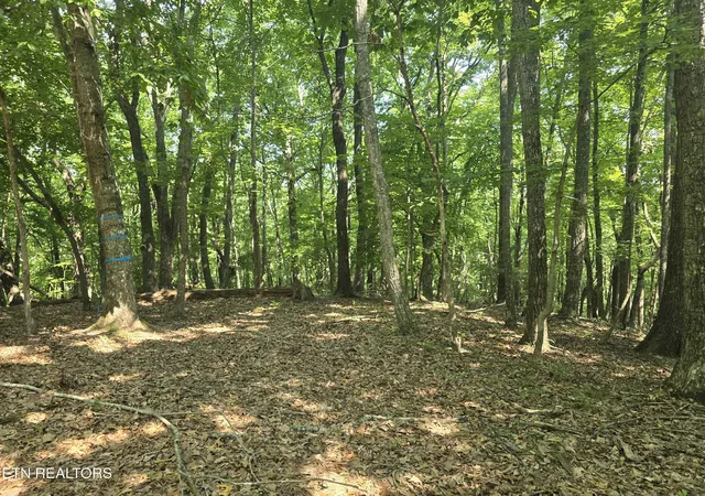 6th image of 16 Trentwood Terrace, Crossville, TN 38558 | MLS# 3231278