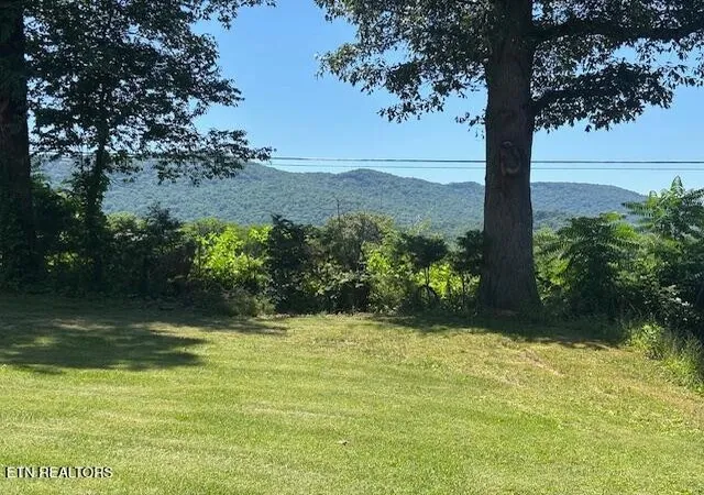 3rd image of 194 Patton Lane, Pikeville, TN 37367 | MLS# 3231301