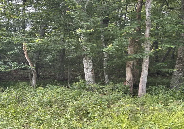Photo 2 of Land for sale at 3031 Shawnee Rd, Crossville, TN 38572 | MLS# 3231425 | Listing updated on 2026-08-19