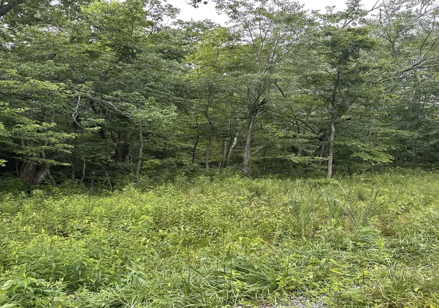 Photo 1 of Land for sale at 3119 Crow Dr, Crossville, TN 38572 | MLS# 3231449 | Listing updated on 2026-08-19