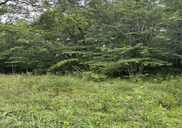 Photo 2 of Land for sale at 3119 Crow Dr, Crossville, TN 38572 | MLS# 3231449 | Listing updated on 2026-08-19