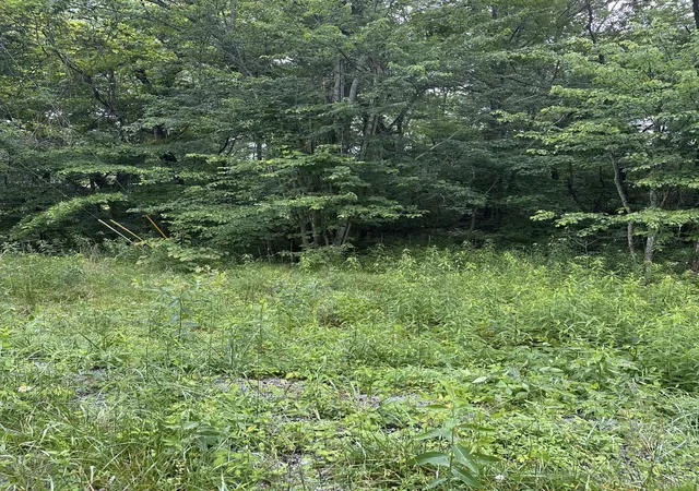Photo 3 of Land for sale at 3119 Crow Dr, Crossville, TN 38572 | MLS# 3231449 | Listing updated on 2026-08-19