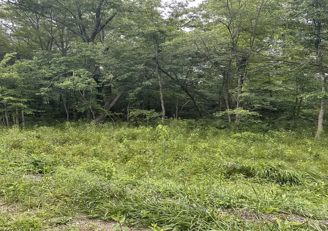 Photo 3 of Land for sale at 3119 Crow Dr, Crossville, TN 38572 | MLS# 3231449 | Listing updated on 2026-08-19