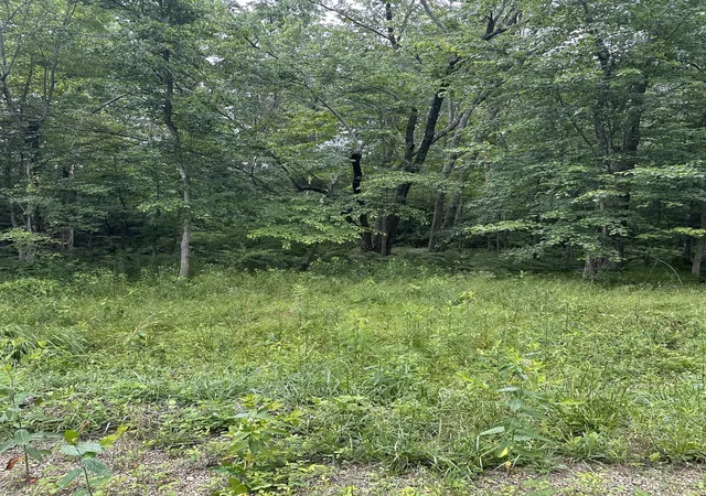 Photo 4 of Land for sale at 3119 Crow Dr, Crossville, TN 38572 | MLS# 3231449 | Listing updated on 2026-08-19