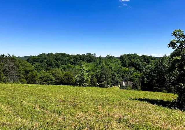 Homes for sale in Riceville, TN | 1060 County Road 130, Riceville, TN 37370 | MLS# 3244173