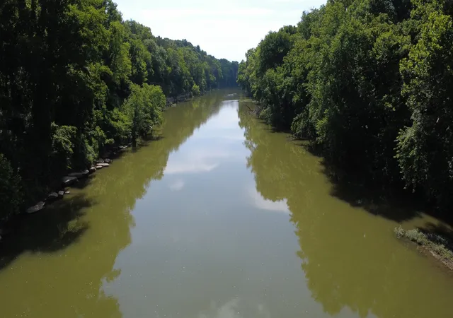 Photo 2 of Land for sale at 0 Rivy Way, Lewisburg, TN 37091 | MLS# 3248115 | Listing updated on 2026-09-13