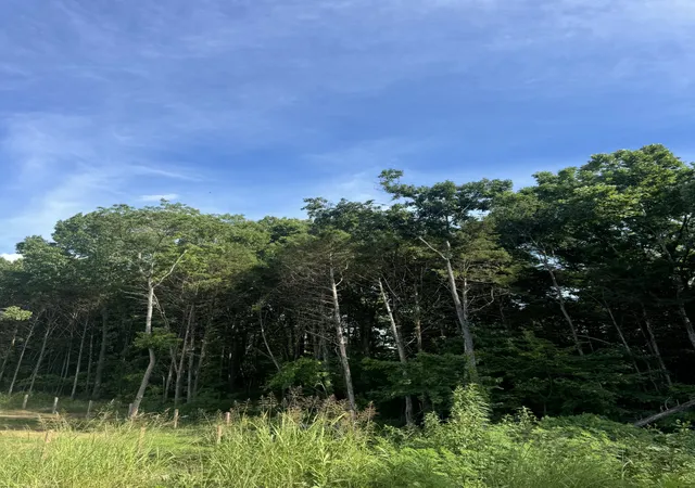 Photo 3 of Land for sale at 0 Rivy Way, Lewisburg, TN 37091 | MLS# 3248115 | Listing updated on 2026-09-13