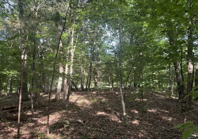 Photo 4 of Land for sale at 0 Rivy Way, Lewisburg, TN 37091 | MLS# 3248115 | Listing updated on 2026-09-13