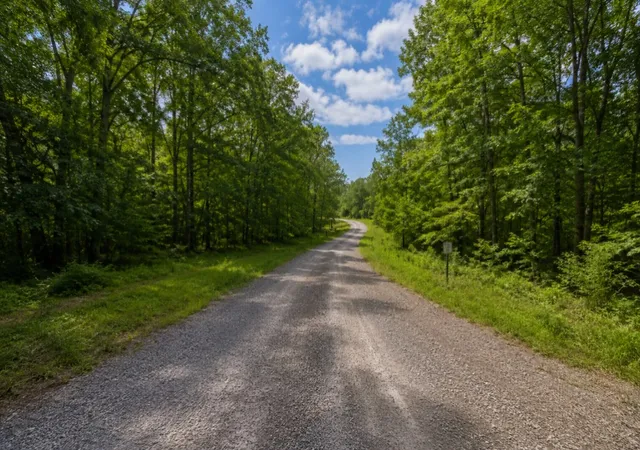 Homes for sale in Cedar Grove, TN | 219 Snap Bean Ln, Cedar Grove, TN 38321 | MLS# 3232116