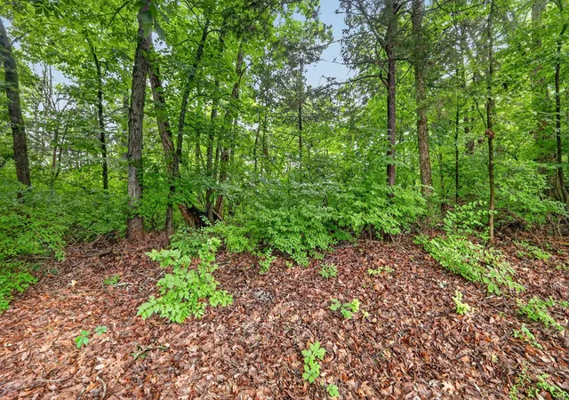 Photo 3 of Single family home for sale at 4848 Highlander Cv, Antioch, TN 37013 | MLS# 3231766 | Listing updated on 2026-10-09