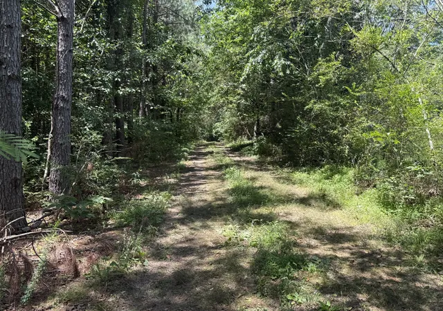 Homes for sale in Summertown, TN | 4642 Hwy 43 N, Summertown, TN 38483 | MLS# 3231774