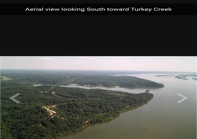 Homes for sale in Waverly, TN | 0 Forest Xing, Waverly, TN 37185 | MLS# 3231783