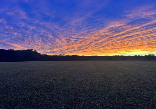 8th image of 7509 Pinewood Road, Primm Springs, TN 38476 | MLS# 3231885