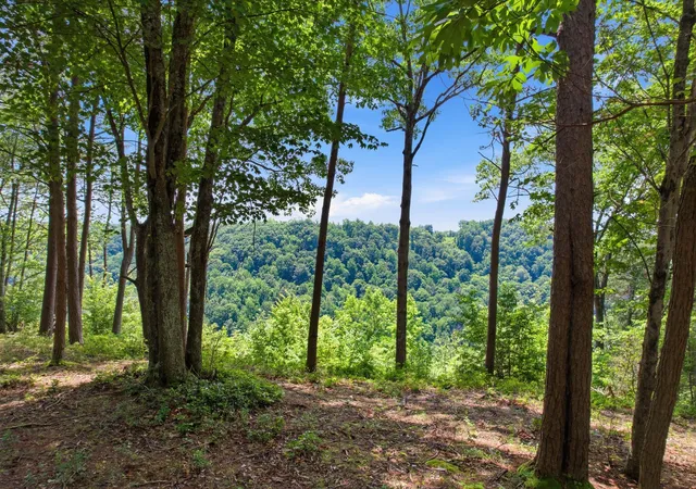 Homes for sale in Monteagle, TN | 321 Timberwood Trce, Monteagle, TN 37356 | MLS# 3242601