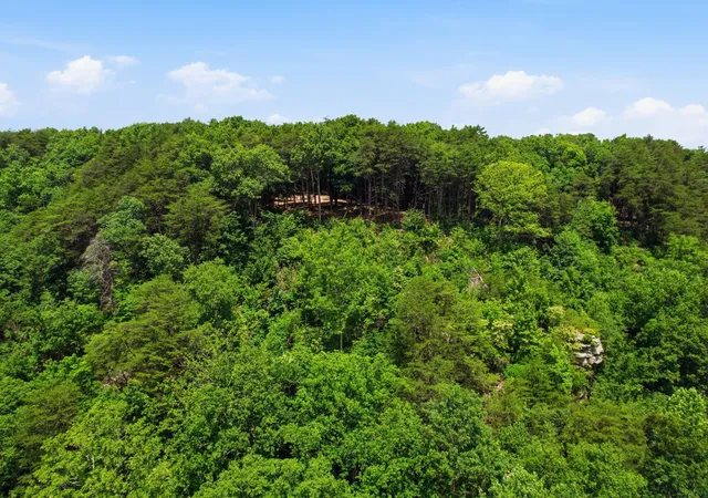 Homes for sale in Monteagle, TN | 321 Timberwood Trce, Monteagle, TN 37356 | MLS# 3242601