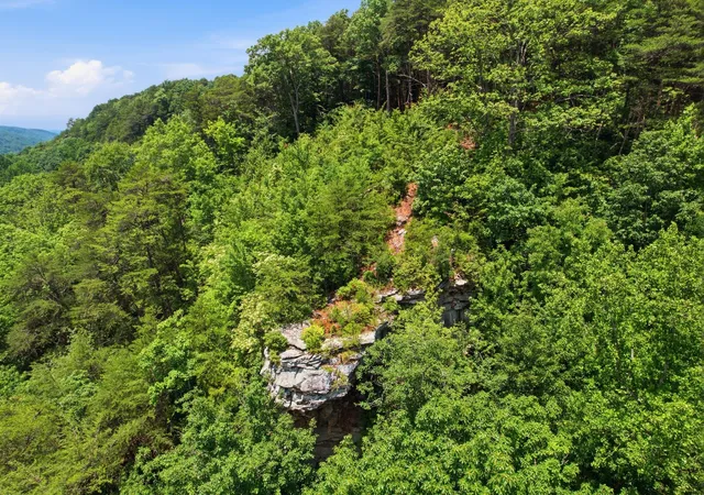Homes for sale in Monteagle, TN | 321 Timberwood Trce, Monteagle, TN 37356 | MLS# 3242601