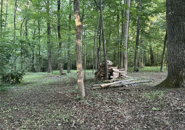 Homes for sale in Riceville, TN | 2113 Hwy 163, Riceville, TN 37370 | MLS# 3244266