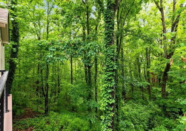 93rd image of 10 Pebble Lane, Signal Mountain, TN 37377 | MLS# 3259768