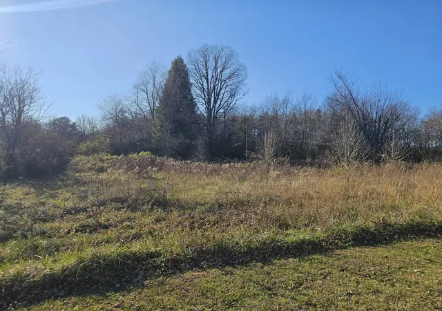 Homes for sale in Hillsboro, TN | 0 Yates Rd, Hillsboro, TN 37342 | MLS# 3232180