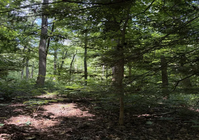 Photo 3 of Land for sale at 505 Maple Ave S, Cookeville, TN 38501 | MLS# 3244923 | Listing updated on 2026-08-25