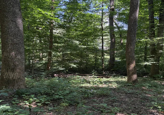 Photo 4 of Land for sale at 505 Maple Ave S, Cookeville, TN 38501 | MLS# 3244923 | Listing updated on 2026-08-25