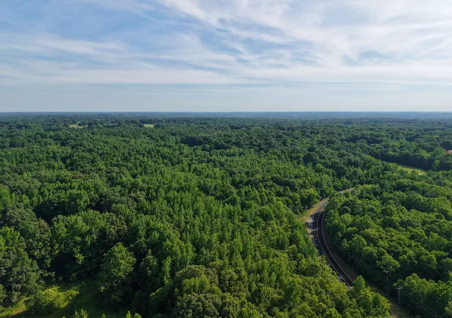 Homes for sale in Trenton, TN | 0 Concord Cades Road, Trenton, TN 38382 | MLS# 3232361